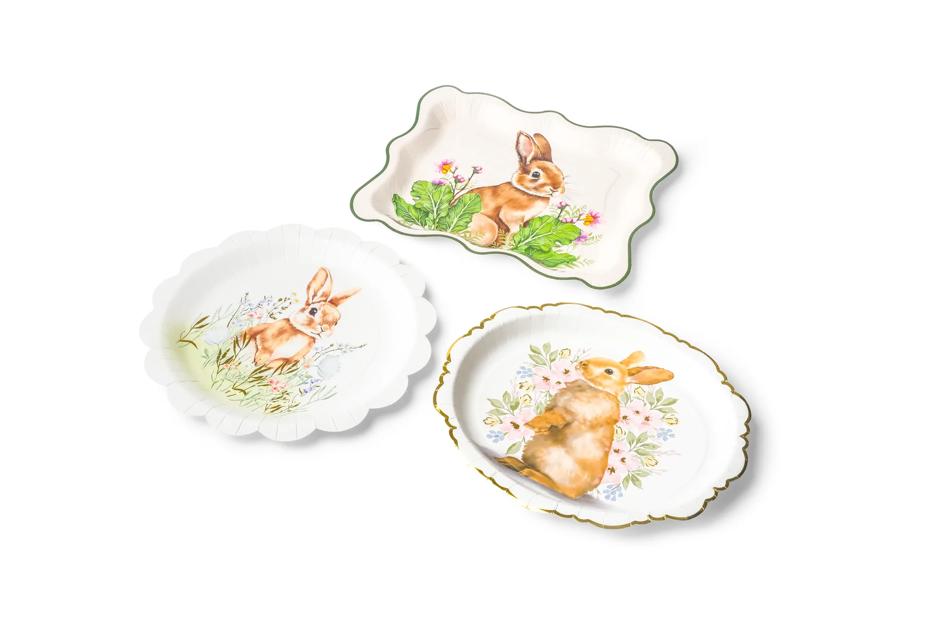 Paper Plate